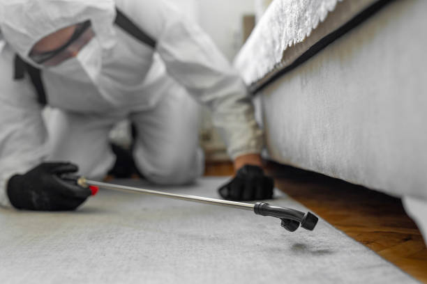 Professional Rodent Control technician working in Millis-Clicquot, MA